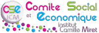 CSE Institut Camille Miret